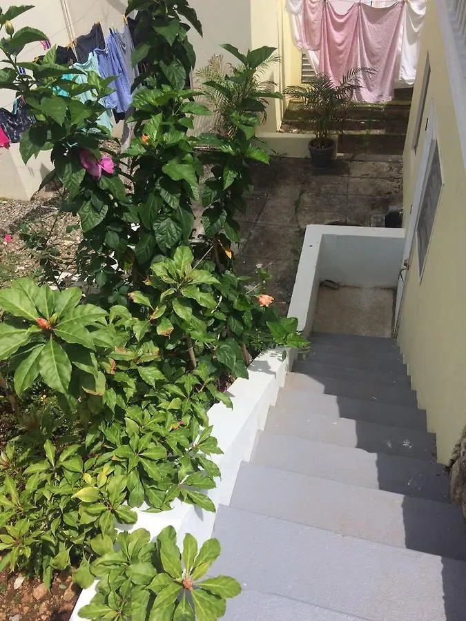Csompo Bed And Breakfast Ocho Rios Guest house