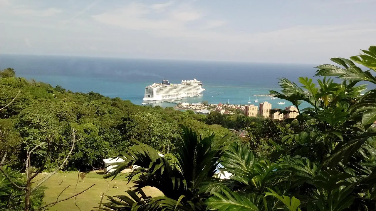 Csompo Bed And Breakfast Ocho Rios Jamaica